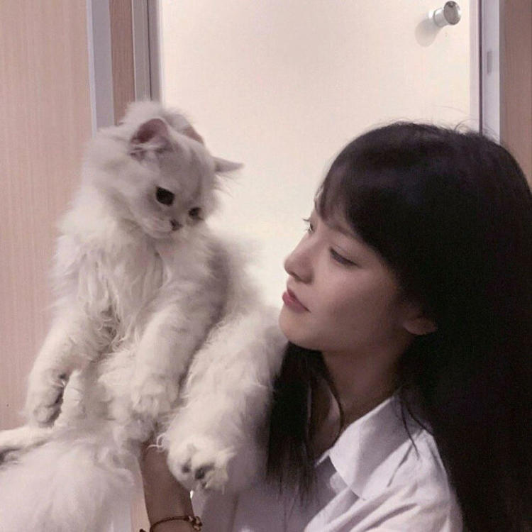 相乐总三（身份：赤报队队长、左之助师父） - 猪蜜蜜电视剧大全在线观看11 - 手机影视